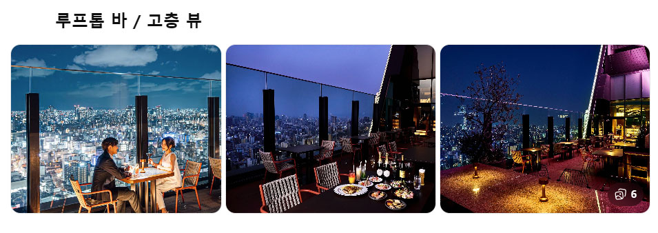 센타라 그랜드 호텔 오사카